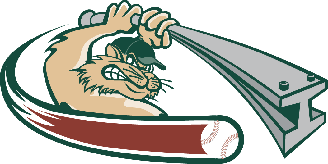 Gary SouthShore RailCats 2011-Pres Partial Logo v2 iron on transfers for T-shirts